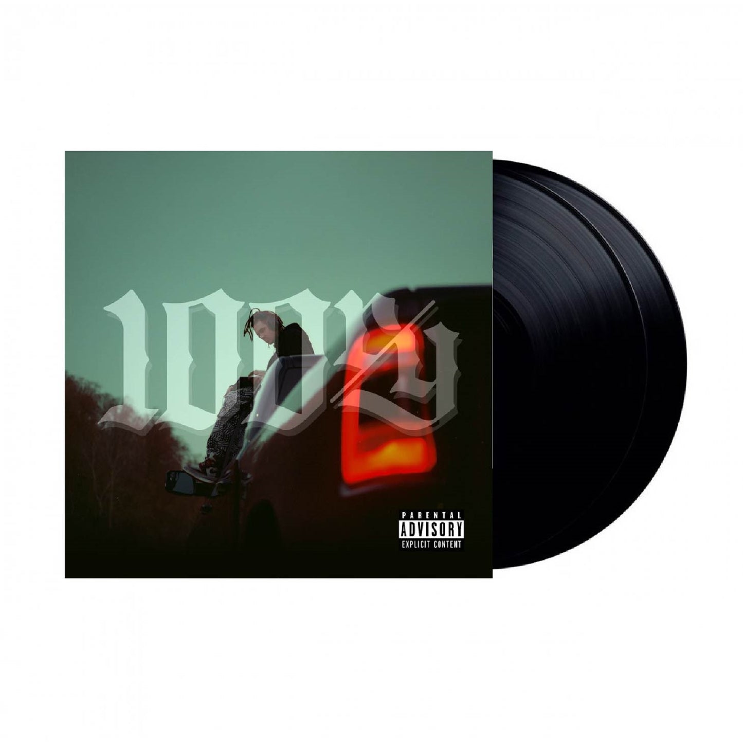 Vinyl - 100ry