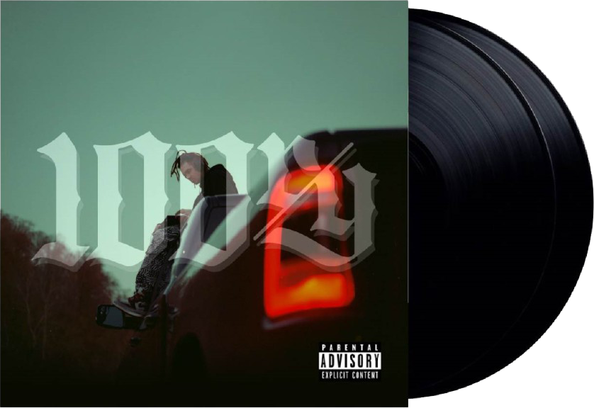 Vinyl - 100ry