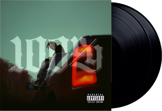 Vinyl - 100ry